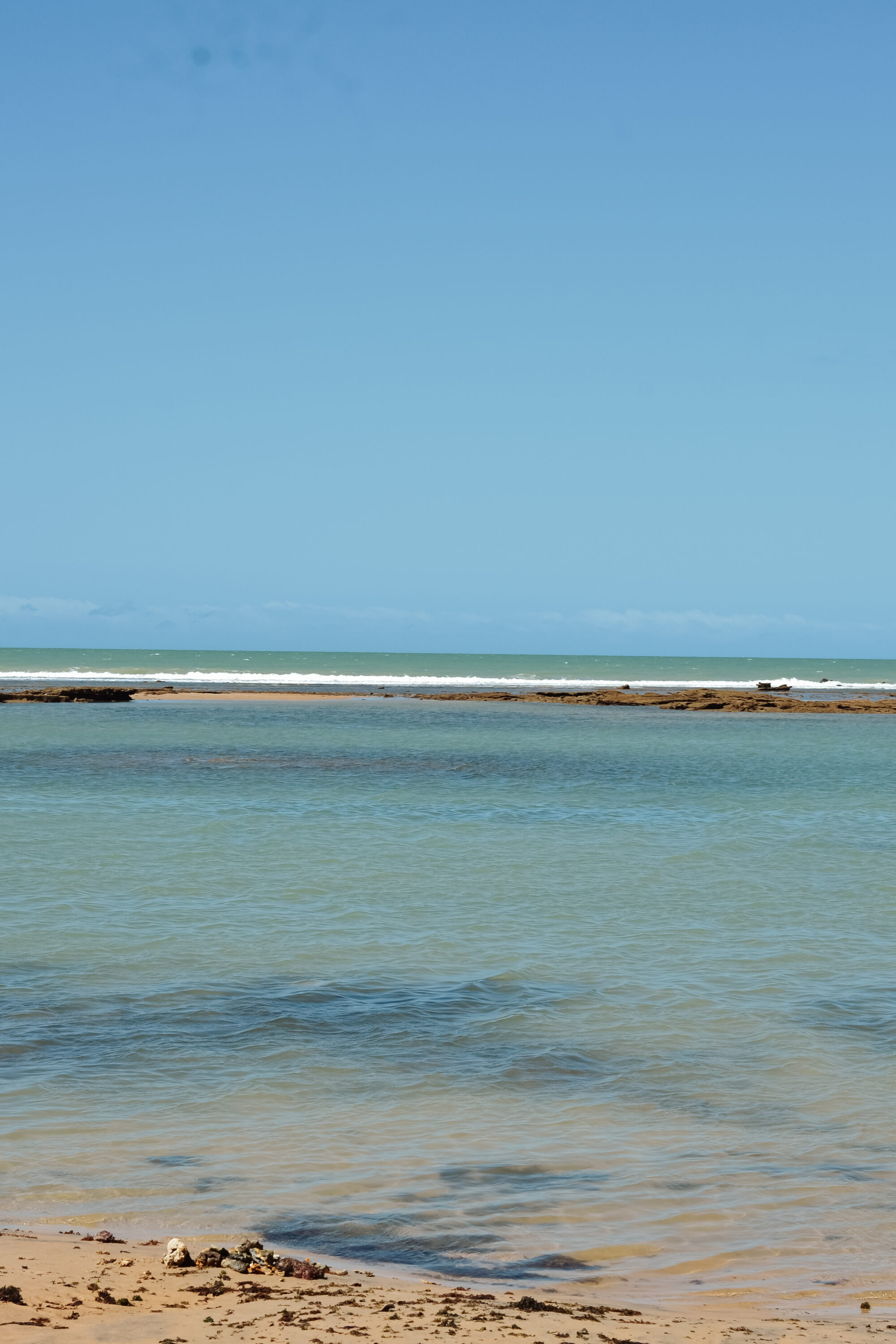 DSC_0004-2